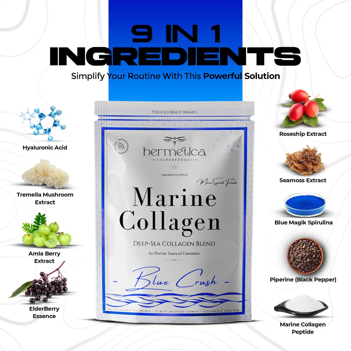 Marine Collagen - Blue Crush | HERMETICA