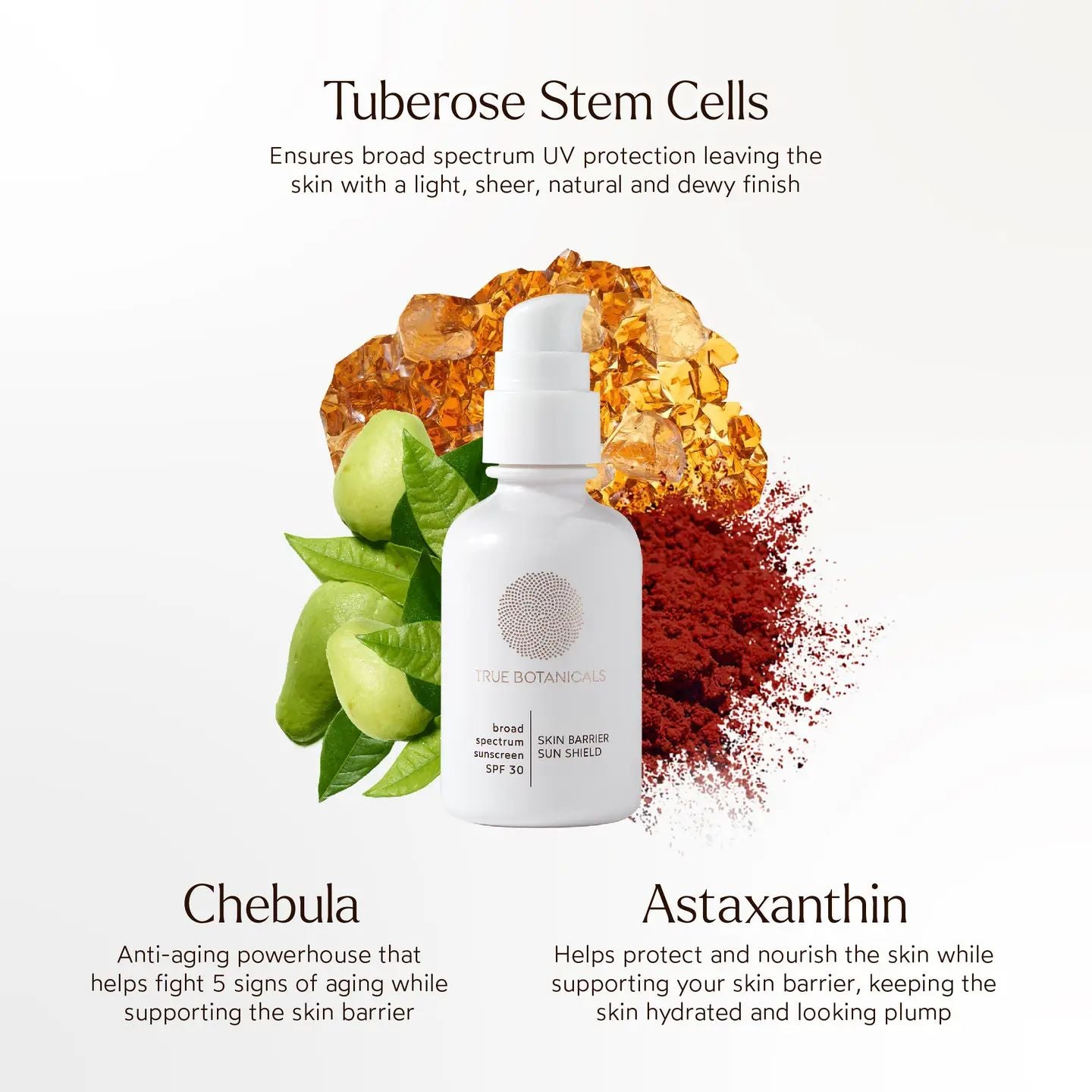 Skin Barrier Sun Shield Spf 30 | TRUE BOTANICALS