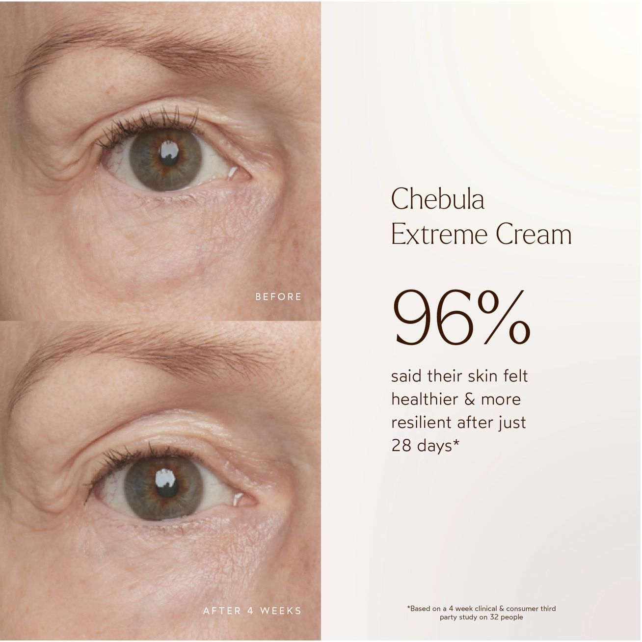 Renew Chebula Extreme Cream | TRUE BOTANICALS