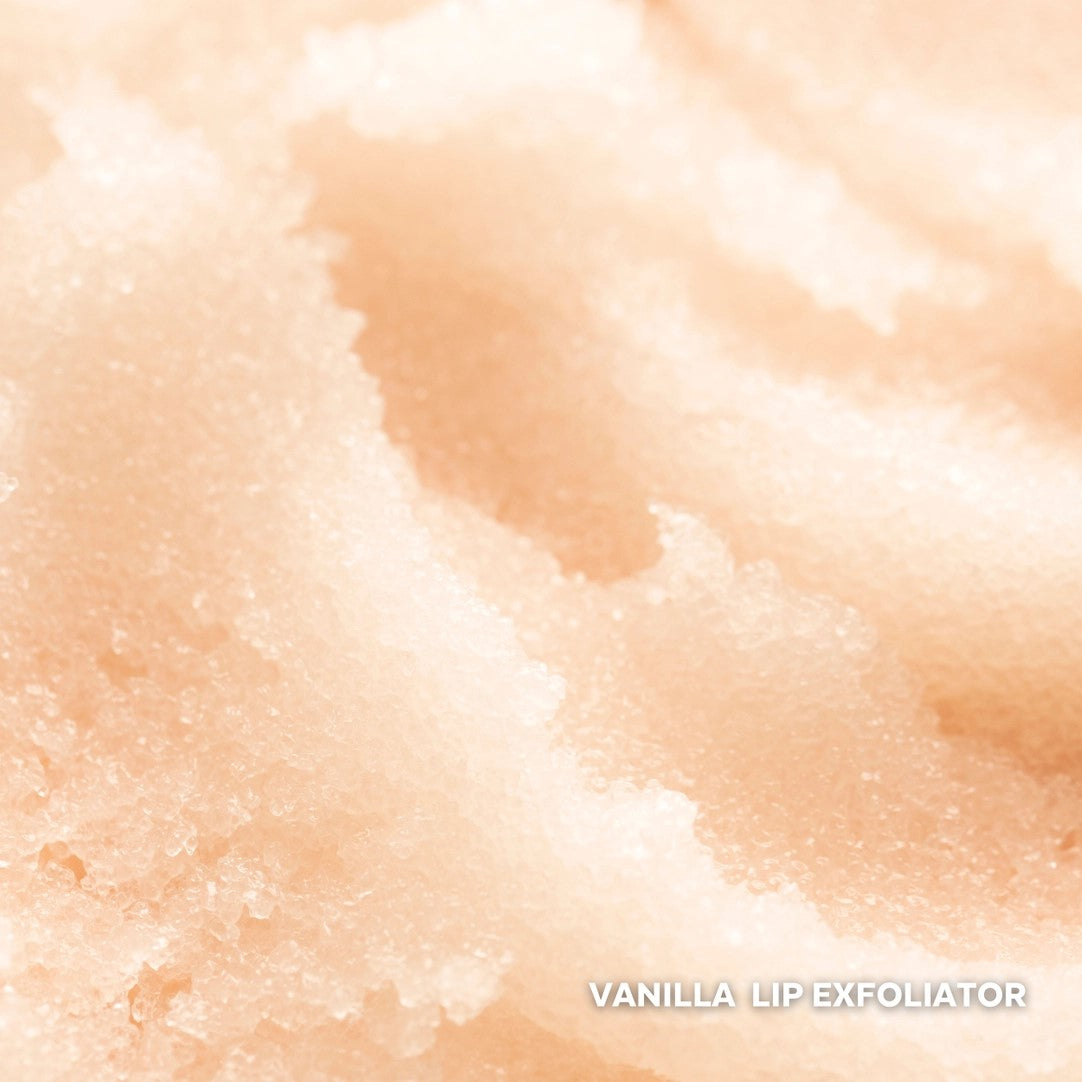 Lip Treatment Kit | THREE SHIPS BEAUTY