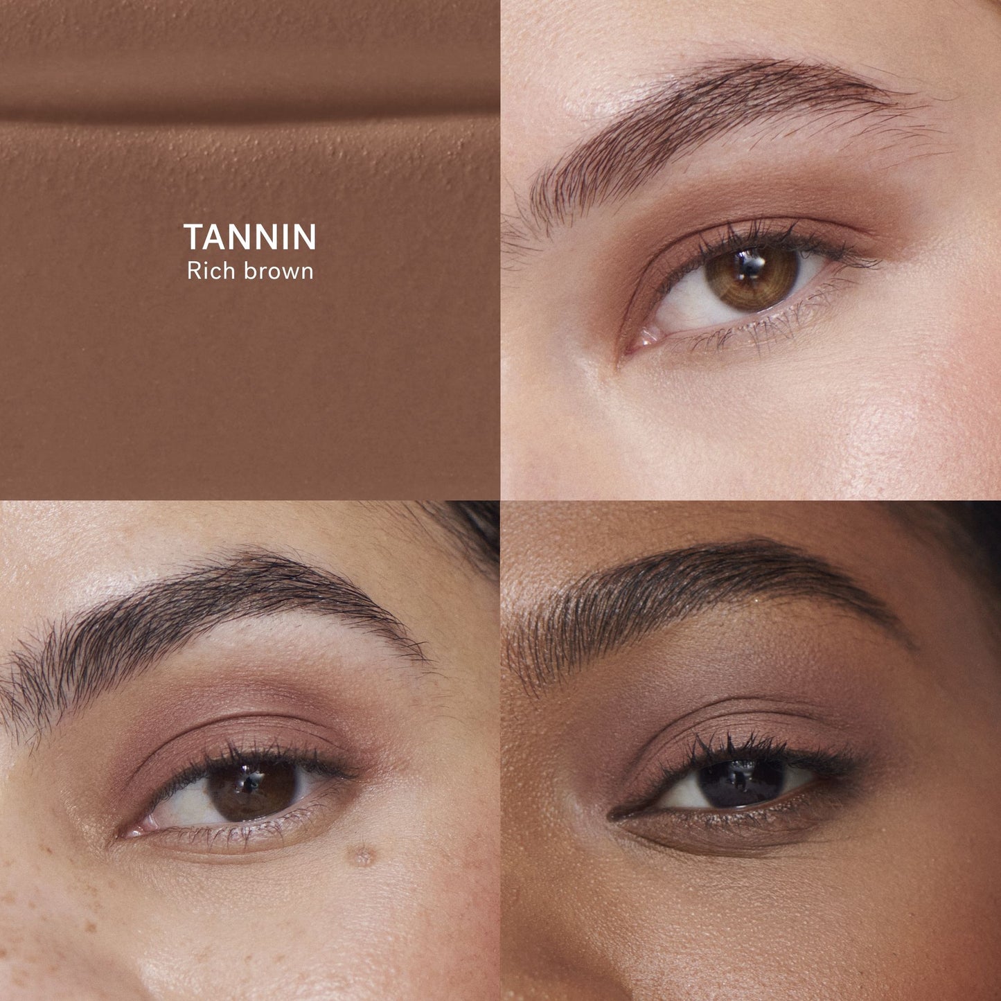 Liquid Powder Matte Eye Tint | ILIA BEAUTY