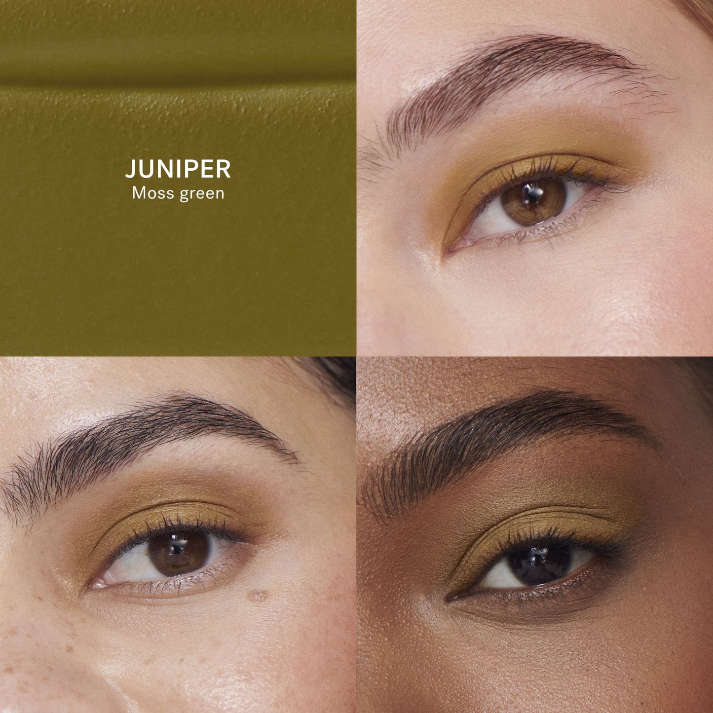 Liquid Powder Matte Eye Tint | ILIA BEAUTY