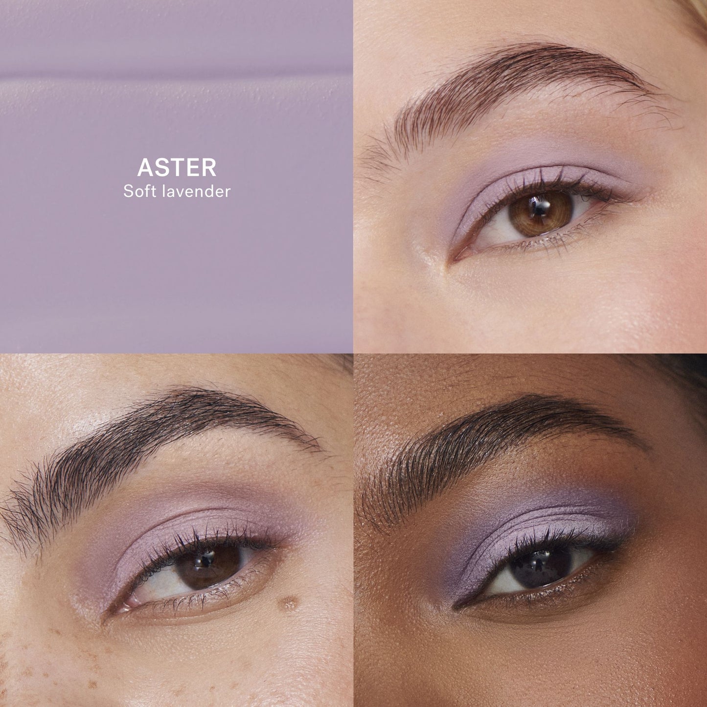 Liquid Powder Matte Eye Tint | ILIA BEAUTY