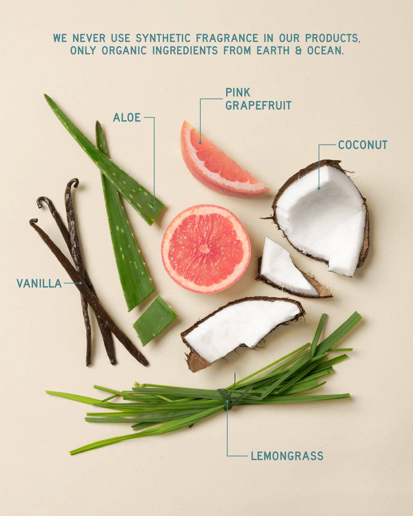 Biome Luxe Prebiotic Conditioner | ALEVIA