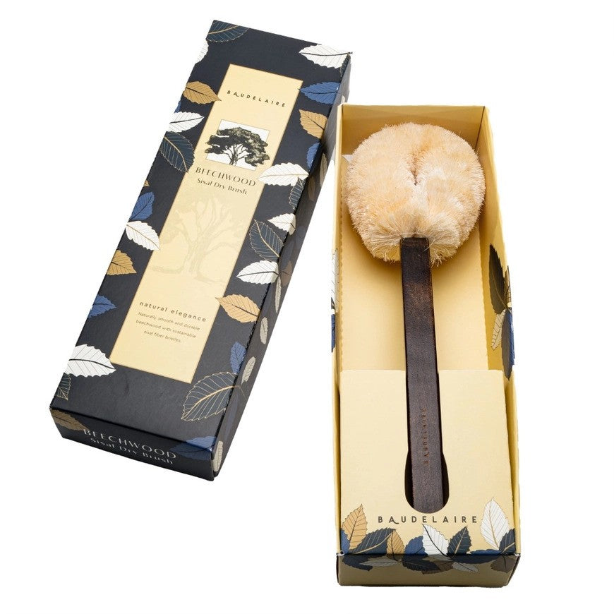 Beechwood 14" Dry Brush | BAUDELAIRE