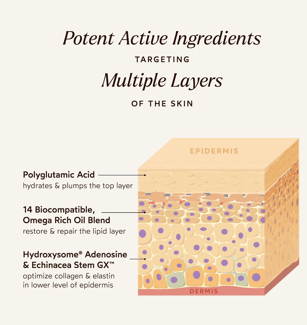 Pure Radiance Supreme Eye Cream | TRUE BOTANICALS