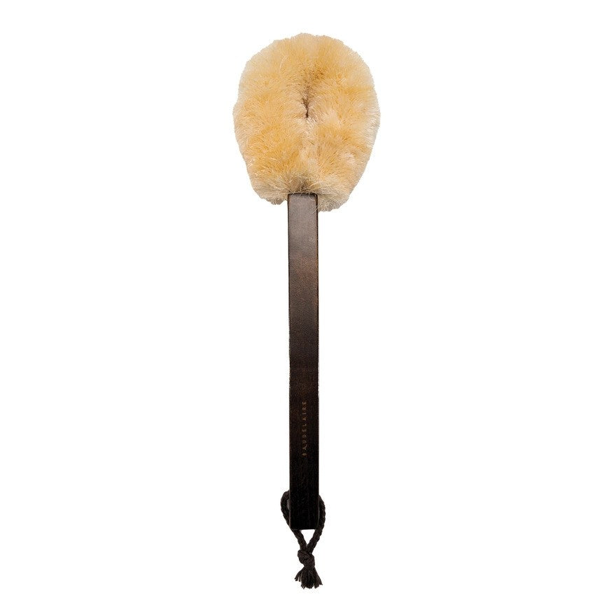 Beechwood 14" Dry Brush | BAUDELAIRE