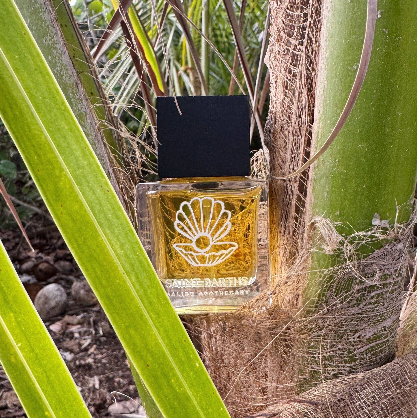 Eau de Parfum | MALIBU APOTHECARY