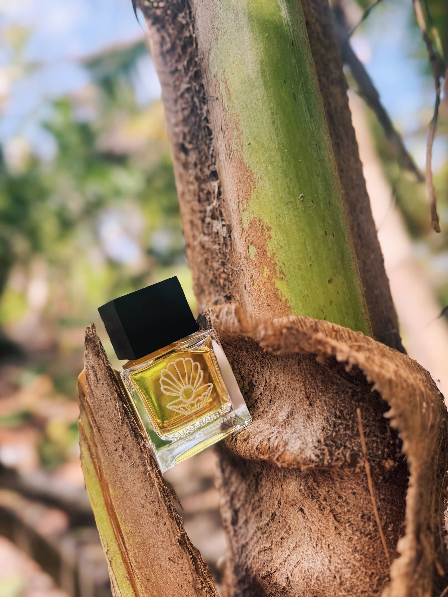 Eau de Parfum | MALIBU APOTHECARY