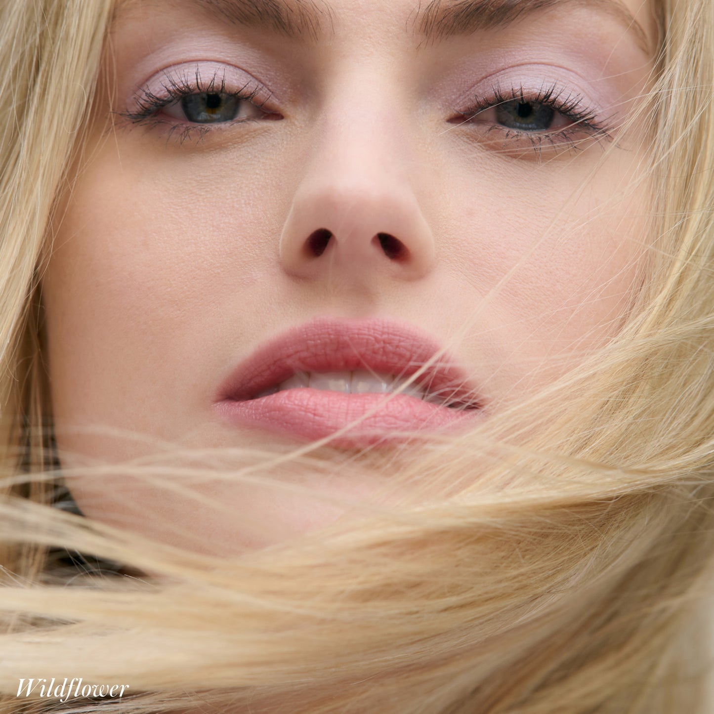 RMS BEAUTY | Cashmere Matte Eyelights