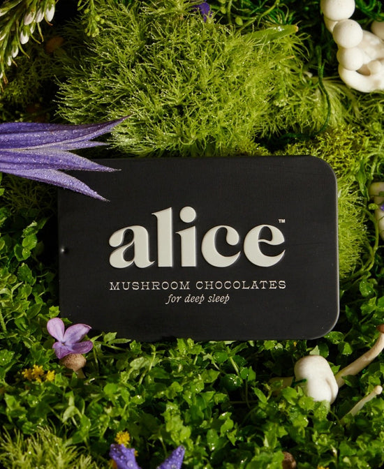 ALICE | Nightcap Mushroom Chocolates For Deep Sleep