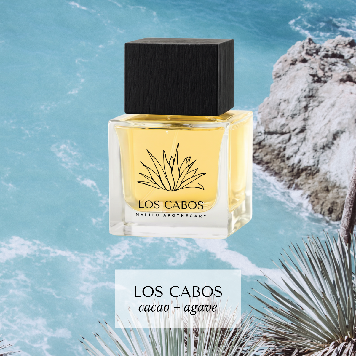 Eau de Parfum | MALIBU APOTHECARY