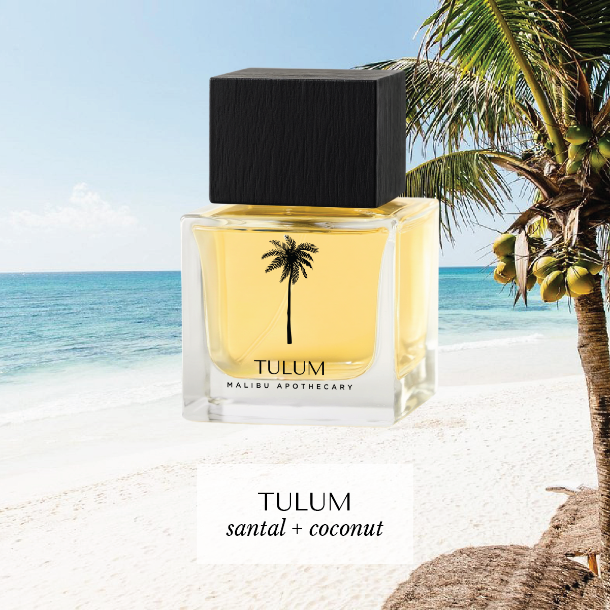 Eau de Parfum | MALIBU APOTHECARY