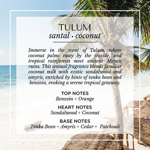 coconut palm eau de parfum Tulum Eau de Parfum