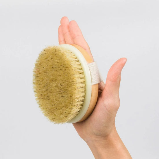 ECOPRO | Natural Wood Dry Body Brush