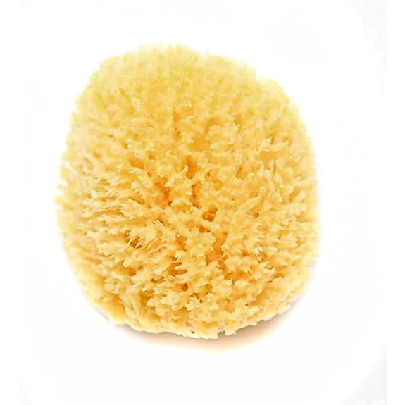 Load image into Gallery viewer, SOAPOLOGY | Natural Sea Sponge
